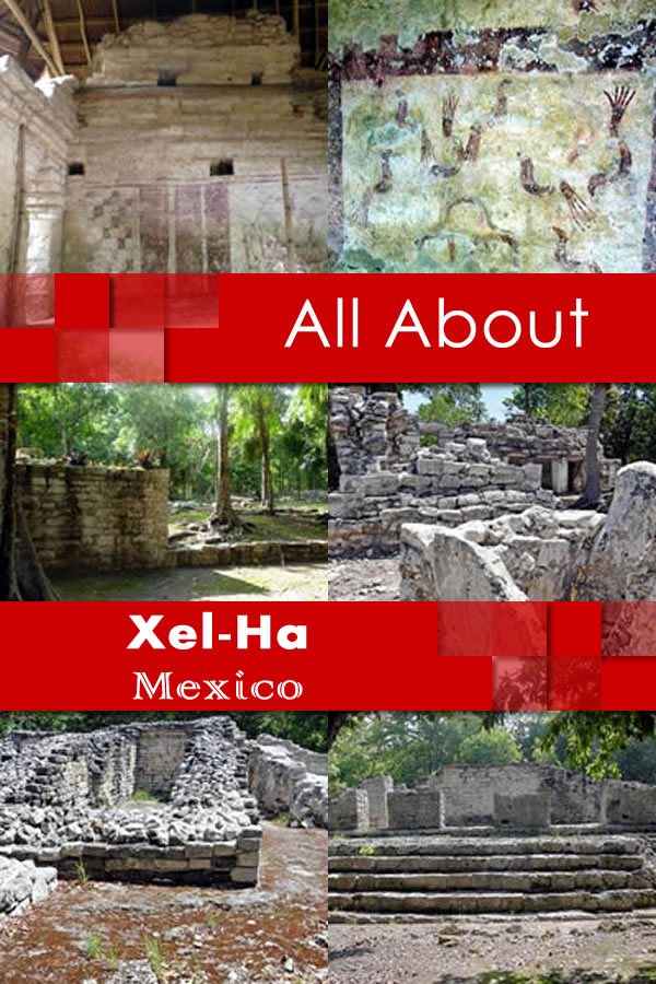 All About Xelha Mexico