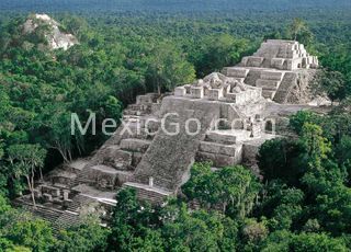 Archaeological Zone - Calakmul - Mexico