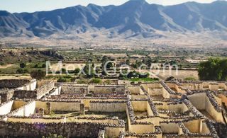 Archaeological Zone - Yagul - Mexico