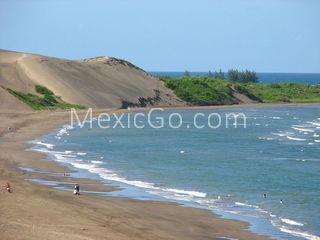 Chachalacas - Mexico