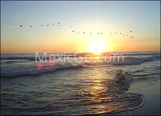 Cuachalalate beach - Mexico