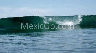 Playa La Saladita beach - Mexico