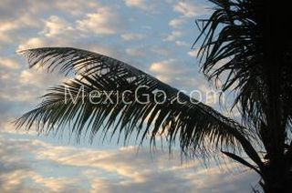 Playa Lo de Marcos - Mexico