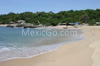 Manzanilla - Mexico