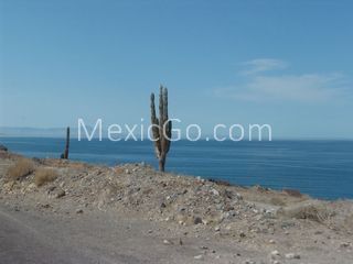 Bahía de los Muertos - Mexico