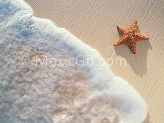 Ticuiz beach - Mexico