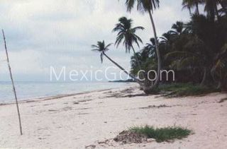 Playa Caracol - Mexico