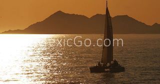 Puerto Lobos - Mexico