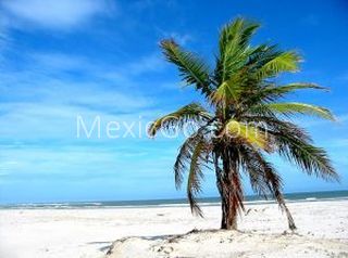 Bahía de Bucerías - Mexico