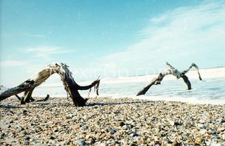 La Pesca beach - Mexico