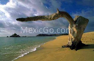 Bahía de San Agustín beach - Mexico