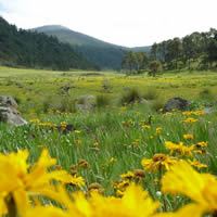 Sixth Photo of Ajusco summits - Mexico