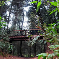 Seventh Photo of Ajusco summits - Mexico