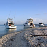 Sixth Photo of Alacranes Reefs - Mexico