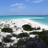 Seventh Photo of Alacranes Reefs - Mexico