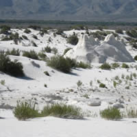 Fourth Photo of Cuatrocienegas - Mexico