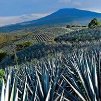 Second Photo of Tequila - Mexico