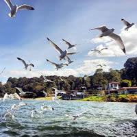 Sixth Photo of Valle de Bravo - Mexico