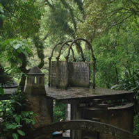 Fifth Photo of Xilitla - Mexico