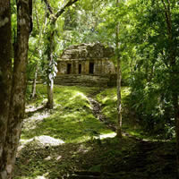 Fourth Photo of Yaxchilan - Mexico