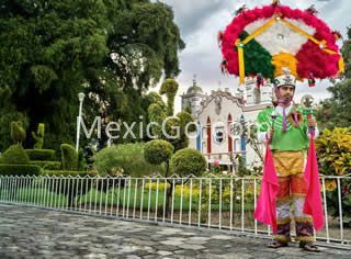 Santa Maria del Tule - Mexico